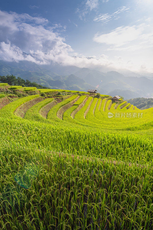 美丽的风景，绿色的稻田准备在越南西北部的梯田日落山在木仓寨，Yen Bai，越南